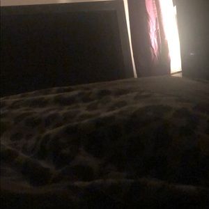 Meet your Posher, Dakota